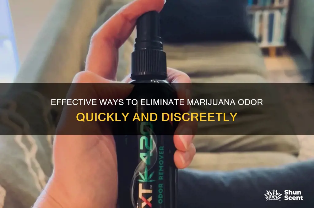 how to get rid of marajuana scent