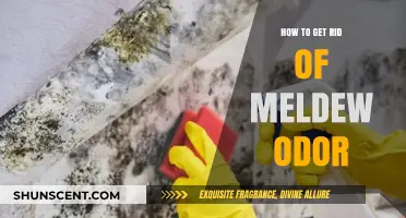 Banish Musty Smells: A Guide to Eliminating Mold Odors