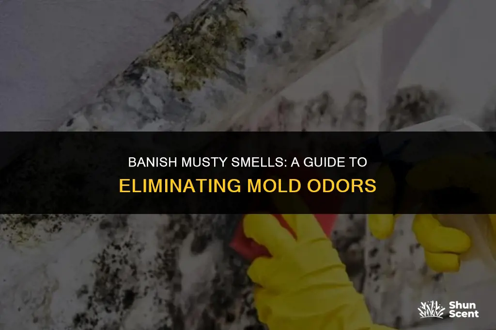 how to get rid of meldew odor