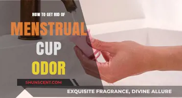 Fresh and Clean: A Guide to Eliminating Menstrual Cup Odor