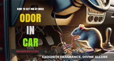 Eliminate Pesky Mice Odors from Your Car: A Comprehensive Guide