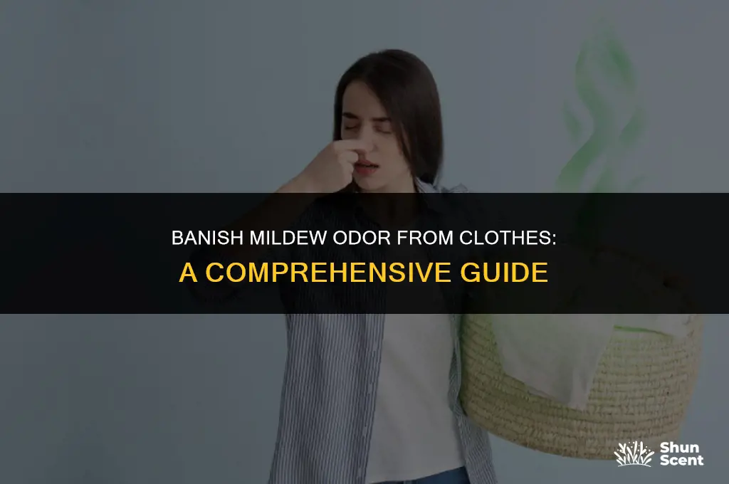 how to get rid of mildew odor from clothes