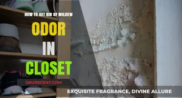Banish Mildew Odor from Your Closet: A Comprehensive Guide