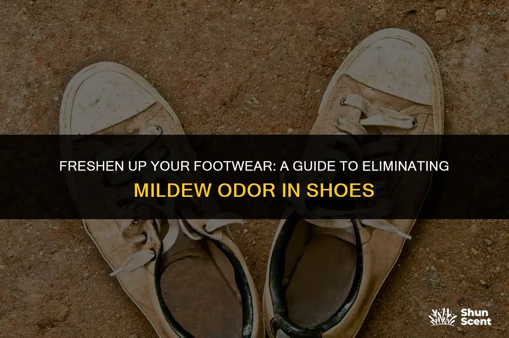 how to get rid of mildew odor in shoes