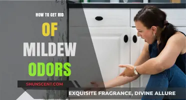 Banish Mildew Odors: A Comprehensive Guide to Freshening Your Home