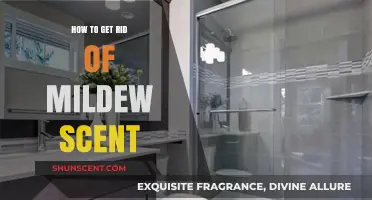 Effective Ways to Eliminate Stubborn Mildew Odors from Your Home