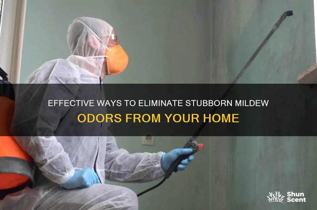 how to get rid of mildew scent