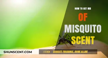Effective Ways to Eliminate Mosquito Scent and Prevent Bites Naturally