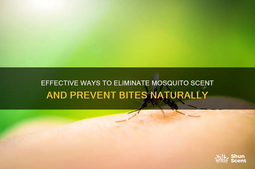 how to get rid of misquito scent