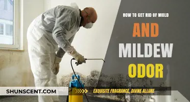 Banish Mold and Mildew Odors: A Comprehensive Guide