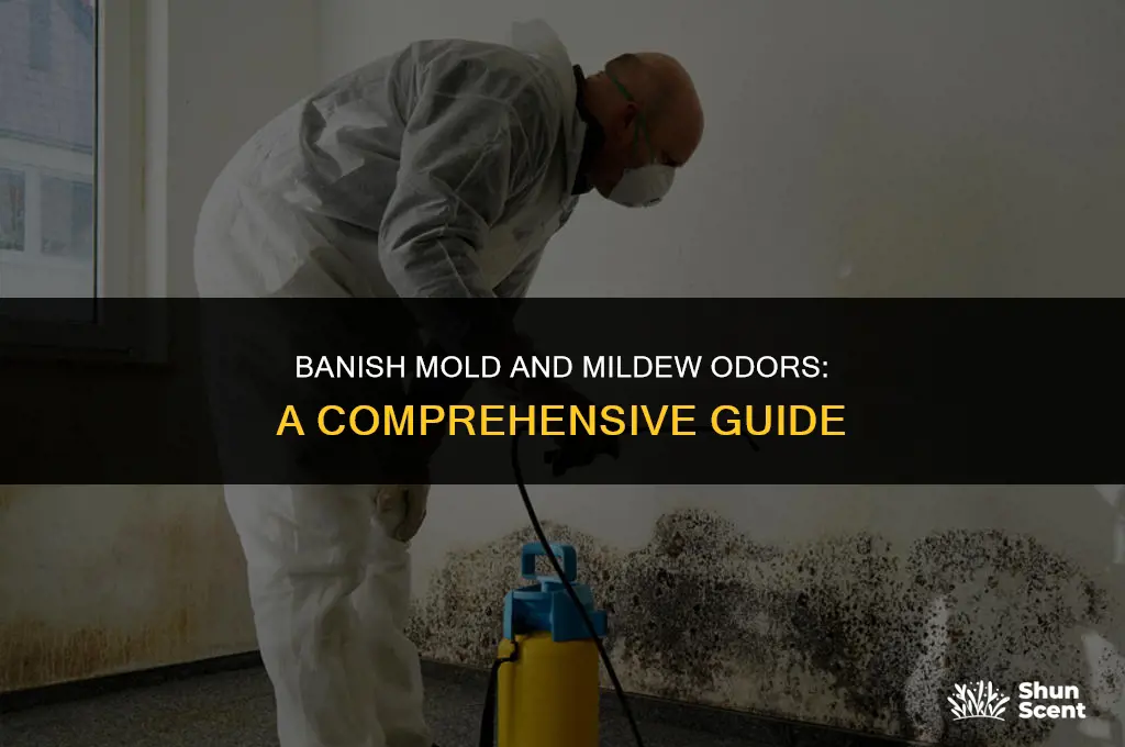how to get rid of mold and mildew odor