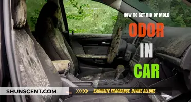 Eliminate Mold Odor in Your Car: A Comprehensive Guide