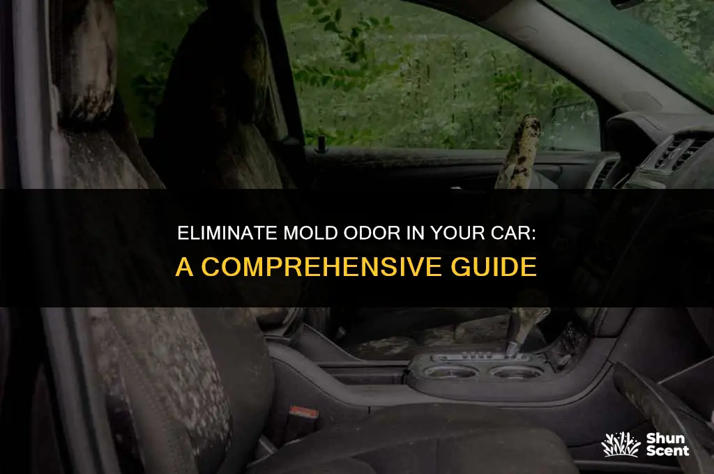 how to get rid of mold odor in car