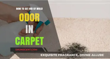 Eliminate Mold Odor from Your Carpet: A Comprehensive Guide