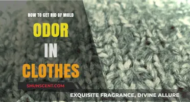 Banish Mold Odors: A Comprehensive Guide to Freshening Your Wardrobe