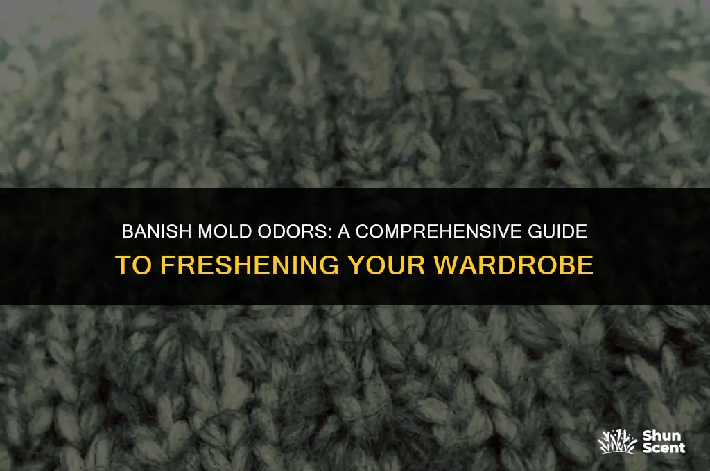 how to get rid of mold odor in clothes