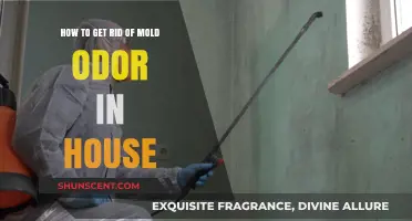 Banish Mold Odors: A Comprehensive Guide to a Fresh Home