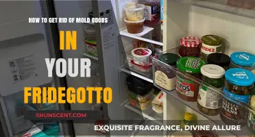 Freshen Up Your Fridge: A Guide to Eliminating Mold Odors