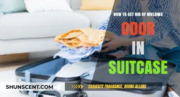 Freshen Up Your Journey: Eliminating Musty Odors from Your Suitcase