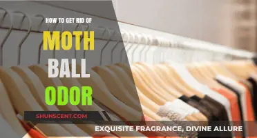 Freshen Up: Effective Ways to Eliminate Mothball Odor
