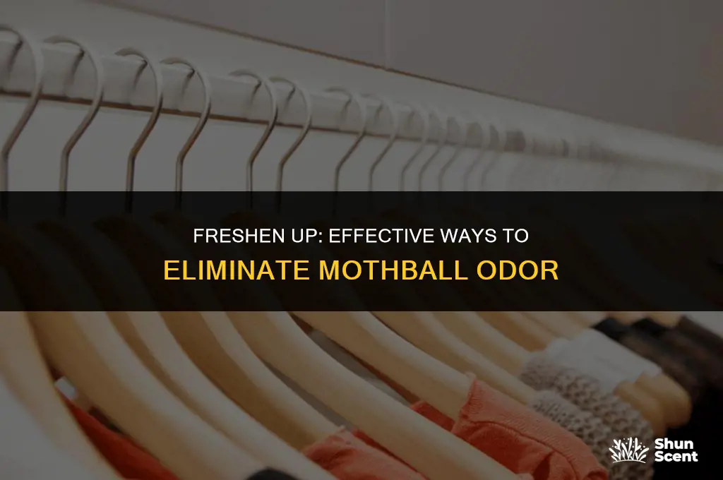 how to get rid of moth ball odor