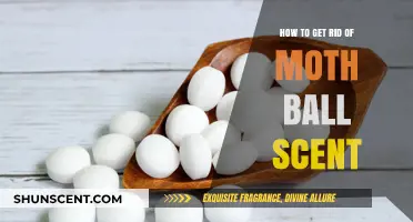 Effective Ways to Eliminate Moth Ball Smell from Your Space