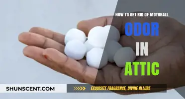 Freshen Up Your Attic: A Guide to Eliminating Mothball Odors