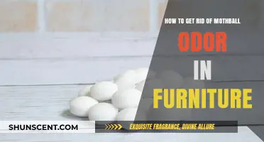 Freshen Up Your Furniture: A Guide to Eliminating Mothball Odors