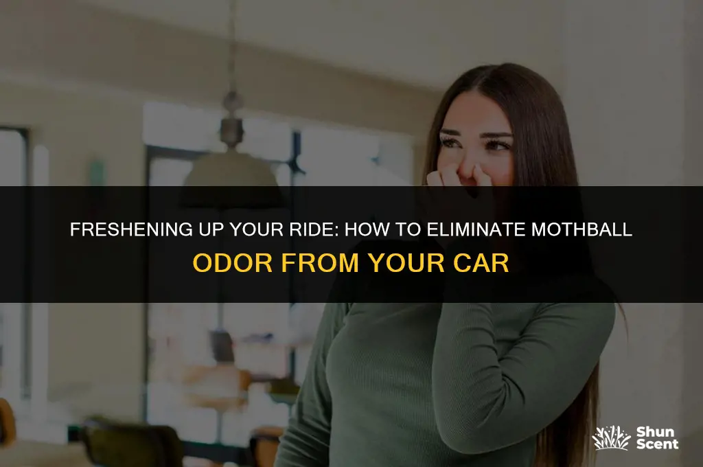 how to get rid of mothball odor in my car