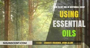 Eliminate Mothball Smell Naturally: Essential Oils for Freshening Your Space