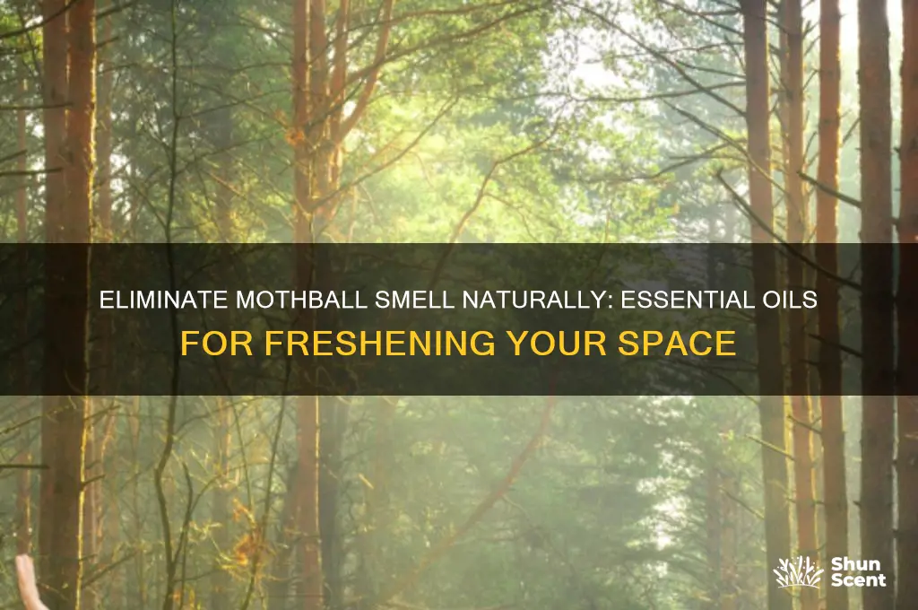 how to get rid of mothball scent using essential oils