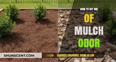 Eliminating Mulch Odor: A Comprehensive Guide for Gardeners