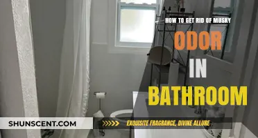 Freshen Up: Effective Ways to Eliminate Musky Odors in Your Bathroom