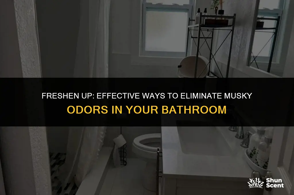 how to get rid of musky odor in bathroom