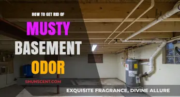 Banish Musty Basement Odors: A Comprehensive Guide to Freshness