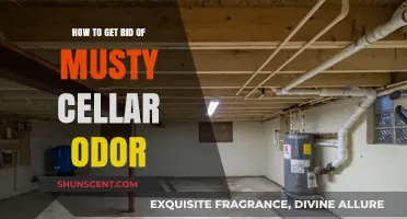 Banish Musty Odors: A Comprehensive Guide to Freshening Your Cellar