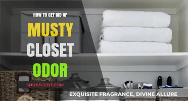 Freshen Up Your Closet: A Guide to Eliminating Musty Odors