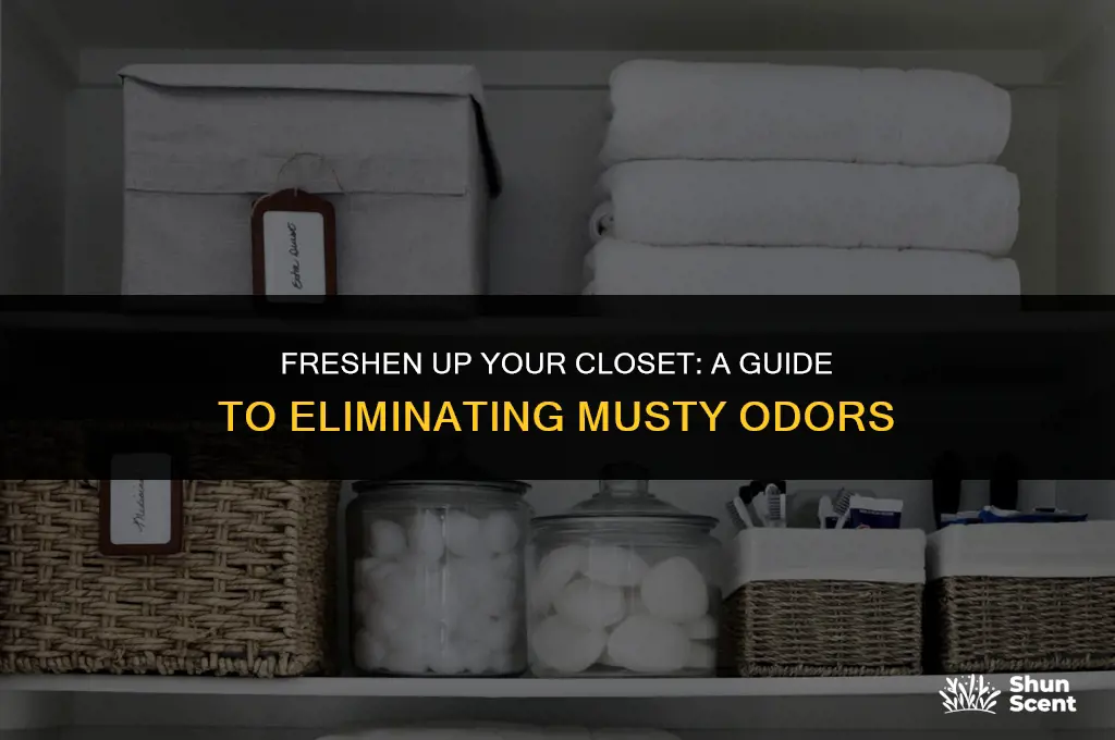 how to get rid of musty closet odor