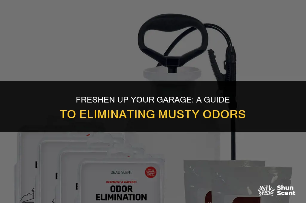 how to get rid of musty garage odor