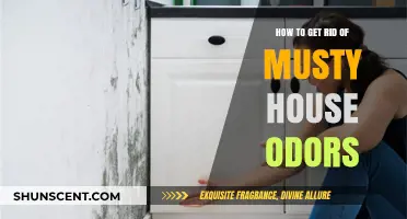 Freshen Up Your Home: A Guide to Eliminating Musty Odors