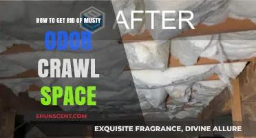 Banish Musty Odors: A Guide to Freshening Your Crawl Space