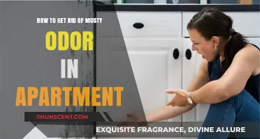Freshen Up Your Space: Eliminating Musty Odors in Apartments