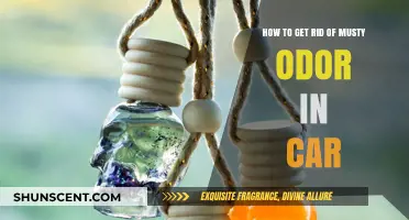 Freshen Up Your Ride: Eliminating Musty Odors in Your Car
