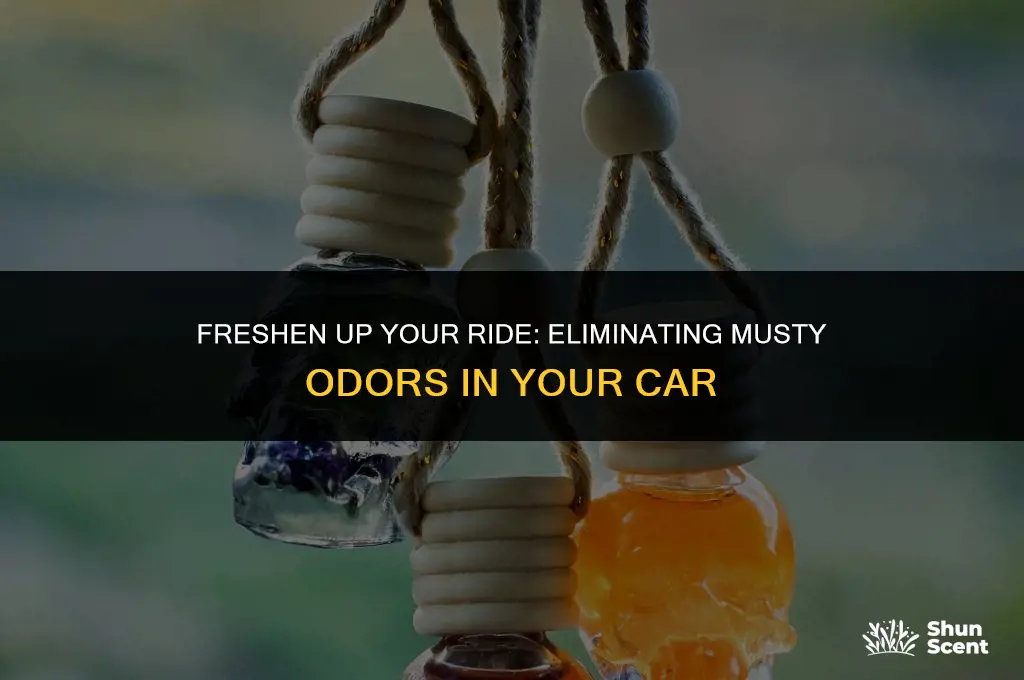 how to get rid of musty odor in car