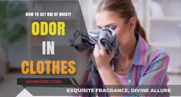 Freshen Up Your Wardrobe: Eliminating Musty Odors from Clothes