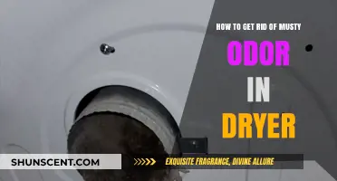 Freshen Up Your Laundry: Conquering Musty Odors in Your Dryer