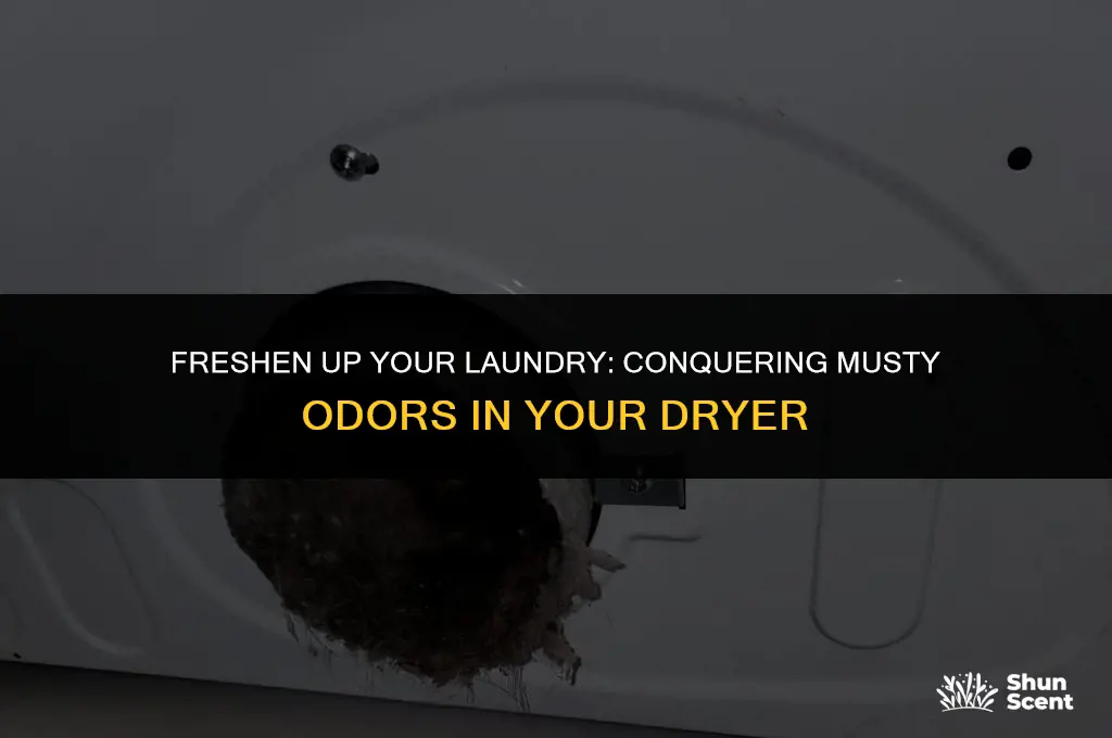 how to get rid of musty odor in dryer