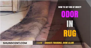 Freshen Up Your Space: Effective Tips to Eliminate Musty Rug Odors