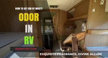 Freshen Up Your RV: A Guide to Eliminating Musty Odors