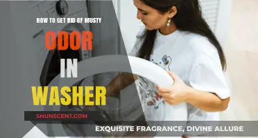 Freshen Up Your Laundry: Eliminating Musty Odors from Your Washer